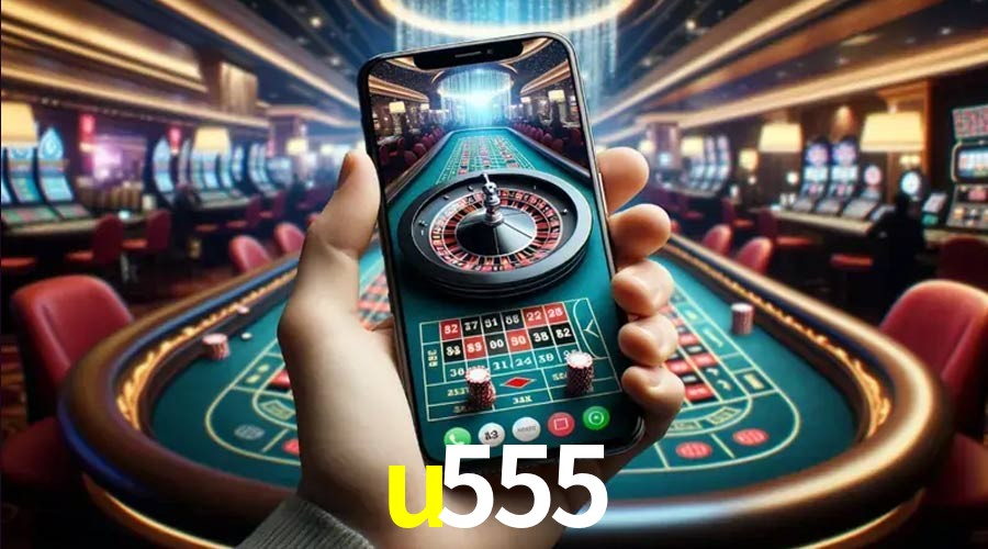 Flash Promotion u555